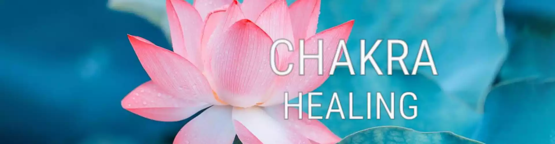 Bundle: Heilung Ihrer Chakren-Serie Alle 8 Klassen - Online Course by Learn It Live